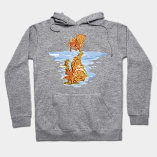 Cat Reflect Tiger P R t shirt Hoodie